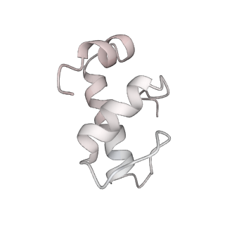 11423_6ztp_CE_v1-1
E. coli 70S-RNAP expressome complex in uncoupled state 6