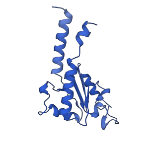 11424_6ztq_B_v1-1
Cryo-EM structure of respiratory complex I from Mus musculus inhibited by piericidin A at 3.0 A
