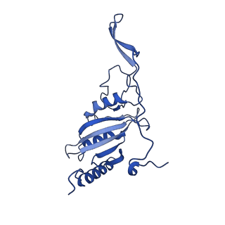 11424_6ztq_C_v1-1
Cryo-EM structure of respiratory complex I from Mus musculus inhibited by piericidin A at 3.0 A