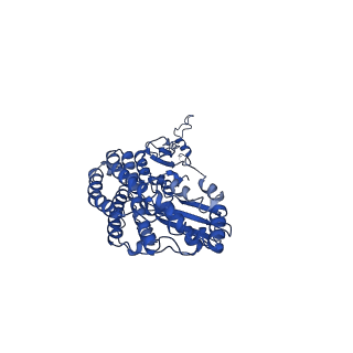 11424_6ztq_D_v1-1
Cryo-EM structure of respiratory complex I from Mus musculus inhibited by piericidin A at 3.0 A
