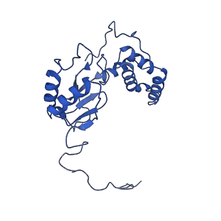 11424_6ztq_E_v1-1
Cryo-EM structure of respiratory complex I from Mus musculus inhibited by piericidin A at 3.0 A