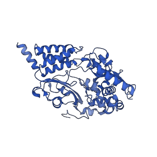 11424_6ztq_F_v1-1
Cryo-EM structure of respiratory complex I from Mus musculus inhibited by piericidin A at 3.0 A