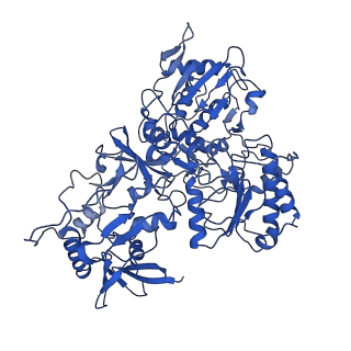 11424_6ztq_G_v1-1
Cryo-EM structure of respiratory complex I from Mus musculus inhibited by piericidin A at 3.0 A