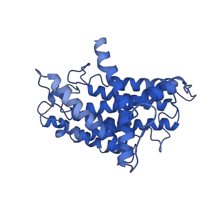 11424_6ztq_H_v1-1
Cryo-EM structure of respiratory complex I from Mus musculus inhibited by piericidin A at 3.0 A