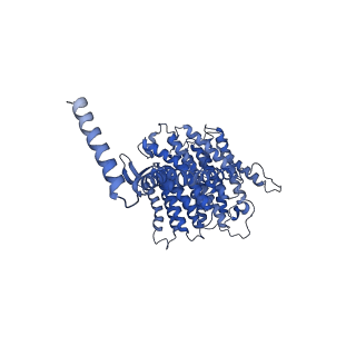 11424_6ztq_L_v1-1
Cryo-EM structure of respiratory complex I from Mus musculus inhibited by piericidin A at 3.0 A