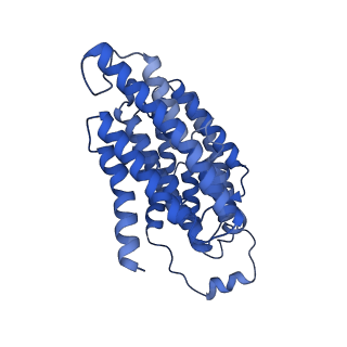 11424_6ztq_N_v1-1
Cryo-EM structure of respiratory complex I from Mus musculus inhibited by piericidin A at 3.0 A