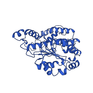 11424_6ztq_O_v1-1
Cryo-EM structure of respiratory complex I from Mus musculus inhibited by piericidin A at 3.0 A