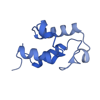 11424_6ztq_U_v1-1
Cryo-EM structure of respiratory complex I from Mus musculus inhibited by piericidin A at 3.0 A