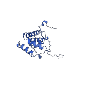 11424_6ztq_X_v1-1
Cryo-EM structure of respiratory complex I from Mus musculus inhibited by piericidin A at 3.0 A