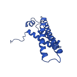 11424_6ztq_Y_v1-1
Cryo-EM structure of respiratory complex I from Mus musculus inhibited by piericidin A at 3.0 A