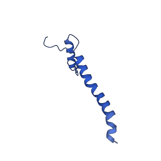 11424_6ztq_a_v1-1
Cryo-EM structure of respiratory complex I from Mus musculus inhibited by piericidin A at 3.0 A