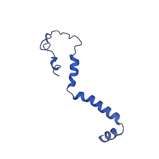 11424_6ztq_b_v1-1
Cryo-EM structure of respiratory complex I from Mus musculus inhibited by piericidin A at 3.0 A
