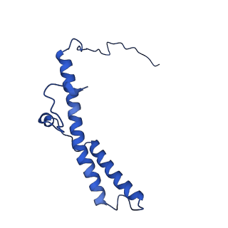11424_6ztq_d_v1-1
Cryo-EM structure of respiratory complex I from Mus musculus inhibited by piericidin A at 3.0 A