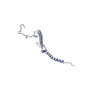 11424_6ztq_h_v1-1
Cryo-EM structure of respiratory complex I from Mus musculus inhibited by piericidin A at 3.0 A