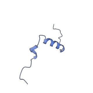 11424_6ztq_s_v1-1
Cryo-EM structure of respiratory complex I from Mus musculus inhibited by piericidin A at 3.0 A