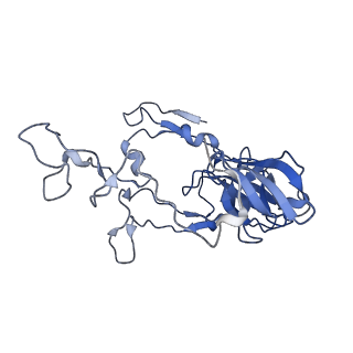 14956_7zta_L021_v1-0
Structure of an Escherichia coli 70S ribosome stalled by Tetracenomycin X during translation of an MAAAPQK(C) peptide