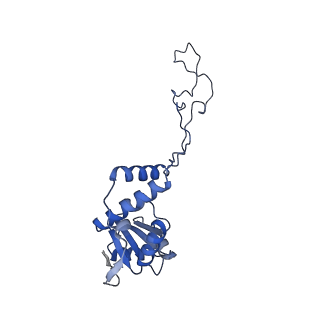 14956_7zta_L041_v1-0
Structure of an Escherichia coli 70S ribosome stalled by Tetracenomycin X during translation of an MAAAPQK(C) peptide