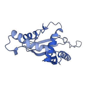 14956_7zta_L051_v1-0
Structure of an Escherichia coli 70S ribosome stalled by Tetracenomycin X during translation of an MAAAPQK(C) peptide
