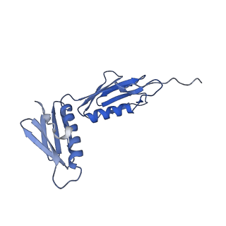 14956_7zta_L061_v1-0
Structure of an Escherichia coli 70S ribosome stalled by Tetracenomycin X during translation of an MAAAPQK(C) peptide