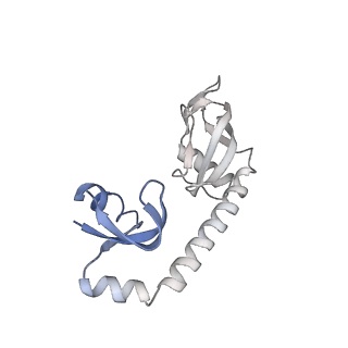 14956_7zta_L091_v1-0
Structure of an Escherichia coli 70S ribosome stalled by Tetracenomycin X during translation of an MAAAPQK(C) peptide