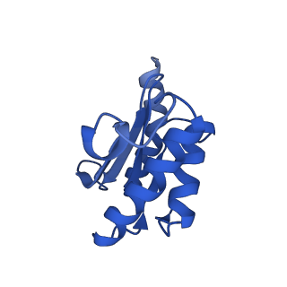 14956_7zta_L181_v1-0
Structure of an Escherichia coli 70S ribosome stalled by Tetracenomycin X during translation of an MAAAPQK(C) peptide