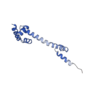 14956_7zta_L201_v1-0
Structure of an Escherichia coli 70S ribosome stalled by Tetracenomycin X during translation of an MAAAPQK(C) peptide