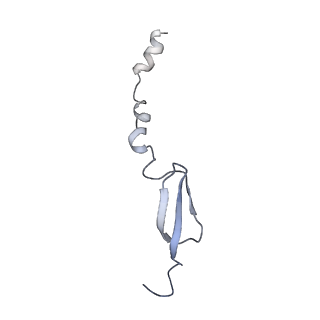 14956_7zta_L311_v1-0
Structure of an Escherichia coli 70S ribosome stalled by Tetracenomycin X during translation of an MAAAPQK(C) peptide
