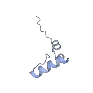 14956_7zta_L341_v2-2
Structure of an Escherichia coli 70S ribosome stalled by Tetracenomycin X during translation of an MAAAPQK(C) peptide