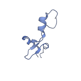 14956_7zta_L351_v1-0
Structure of an Escherichia coli 70S ribosome stalled by Tetracenomycin X during translation of an MAAAPQK(C) peptide