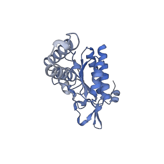 14956_7zta_S021_v1-0
Structure of an Escherichia coli 70S ribosome stalled by Tetracenomycin X during translation of an MAAAPQK(C) peptide