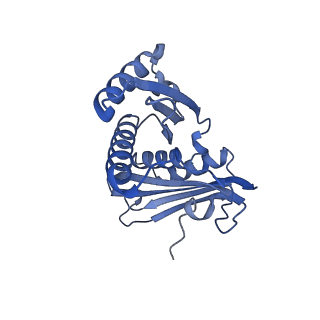14956_7zta_S031_v1-0
Structure of an Escherichia coli 70S ribosome stalled by Tetracenomycin X during translation of an MAAAPQK(C) peptide