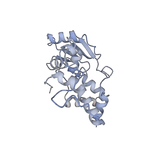 14956_7zta_S041_v1-0
Structure of an Escherichia coli 70S ribosome stalled by Tetracenomycin X during translation of an MAAAPQK(C) peptide