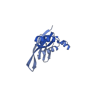 14956_7zta_S051_v1-0
Structure of an Escherichia coli 70S ribosome stalled by Tetracenomycin X during translation of an MAAAPQK(C) peptide
