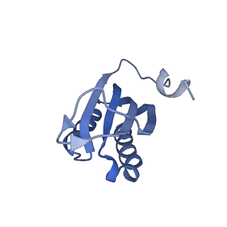 14956_7zta_S061_v1-0
Structure of an Escherichia coli 70S ribosome stalled by Tetracenomycin X during translation of an MAAAPQK(C) peptide