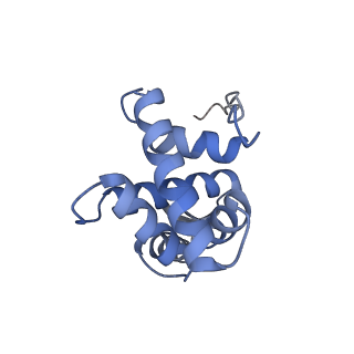 14956_7zta_S071_v1-0
Structure of an Escherichia coli 70S ribosome stalled by Tetracenomycin X during translation of an MAAAPQK(C) peptide