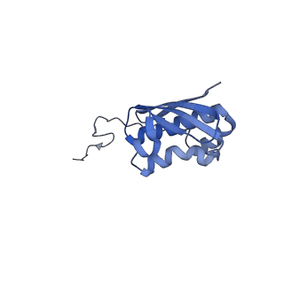 14956_7zta_S091_v1-0
Structure of an Escherichia coli 70S ribosome stalled by Tetracenomycin X during translation of an MAAAPQK(C) peptide