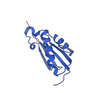 14956_7zta_S111_v1-0
Structure of an Escherichia coli 70S ribosome stalled by Tetracenomycin X during translation of an MAAAPQK(C) peptide