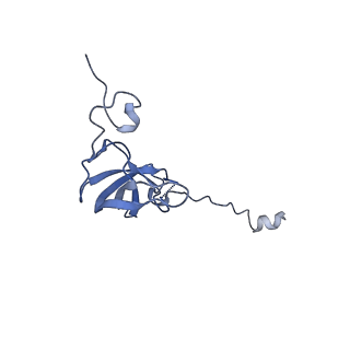 14956_7zta_S121_v2-2
Structure of an Escherichia coli 70S ribosome stalled by Tetracenomycin X during translation of an MAAAPQK(C) peptide