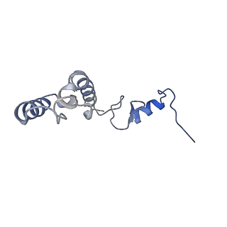 14956_7zta_S141_v1-0
Structure of an Escherichia coli 70S ribosome stalled by Tetracenomycin X during translation of an MAAAPQK(C) peptide