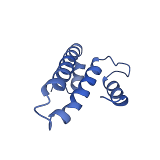 14956_7zta_S151_v1-0
Structure of an Escherichia coli 70S ribosome stalled by Tetracenomycin X during translation of an MAAAPQK(C) peptide