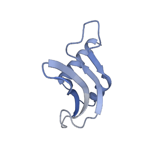 14956_7zta_S161_v1-0
Structure of an Escherichia coli 70S ribosome stalled by Tetracenomycin X during translation of an MAAAPQK(C) peptide