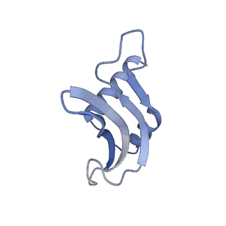 14956_7zta_S161_v2-2
Structure of an Escherichia coli 70S ribosome stalled by Tetracenomycin X during translation of an MAAAPQK(C) peptide