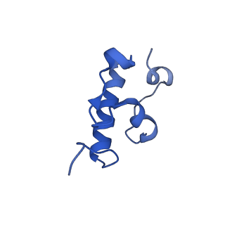 14956_7zta_S181_v1-0
Structure of an Escherichia coli 70S ribosome stalled by Tetracenomycin X during translation of an MAAAPQK(C) peptide