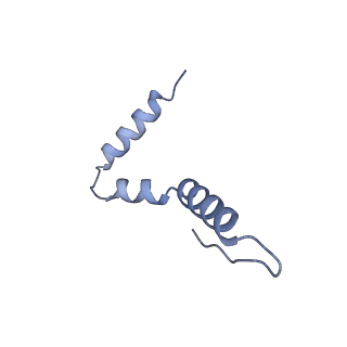 14956_7zta_S211_v1-0
Structure of an Escherichia coli 70S ribosome stalled by Tetracenomycin X during translation of an MAAAPQK(C) peptide
