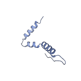 14956_7zta_S211_v2-2
Structure of an Escherichia coli 70S ribosome stalled by Tetracenomycin X during translation of an MAAAPQK(C) peptide
