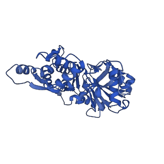 14957_7ztc_A_v1-1
Non-muscle F-actin decorated with non-muscle tropomyosin 1.6