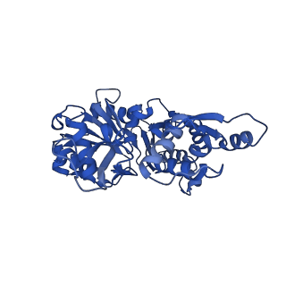 14957_7ztc_B_v1-1
Non-muscle F-actin decorated with non-muscle tropomyosin 1.6