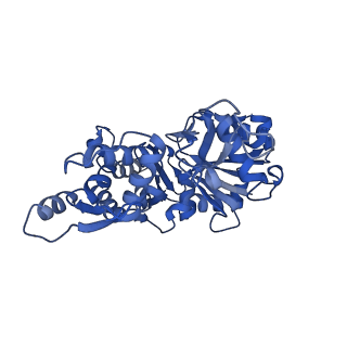 14957_7ztc_C_v1-1
Non-muscle F-actin decorated with non-muscle tropomyosin 1.6