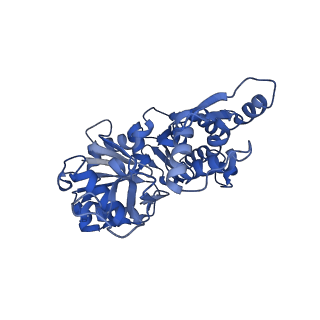 14957_7ztc_D_v1-1
Non-muscle F-actin decorated with non-muscle tropomyosin 1.6