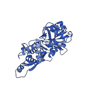 14957_7ztc_E_v1-1
Non-muscle F-actin decorated with non-muscle tropomyosin 1.6